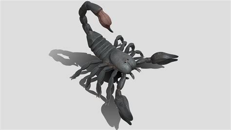 Black Scorpion Buy Royalty Free 3d Model By Naklerswork Nakler 58f973e Sketchfab Store