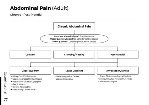 Abdominal Pain Adult Chronic Post Prandial