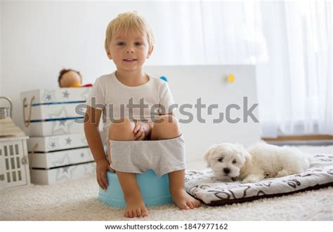 Blond Toddler Child Using Potty Home Stock Photo 1847977162 Shutterstock