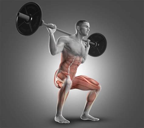 Do Squats Use Calve Muscles Movement Explained Inspire Us