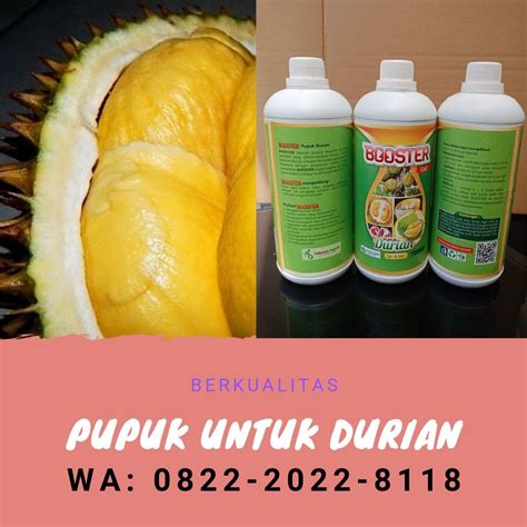 Ada yang berbau darah, urin, getah, bangkai, kotoran dan beberapa spesies bisa harum buah. Taman Bunga Pandeglang Kampung Jambu | Ideku Unik