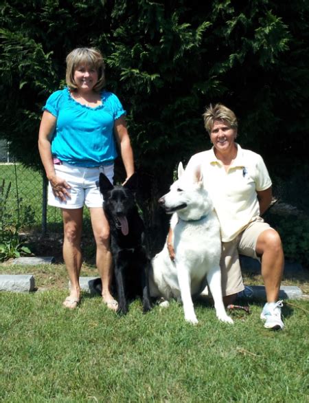 What happens to your dog or cat after your death? Transportation Services