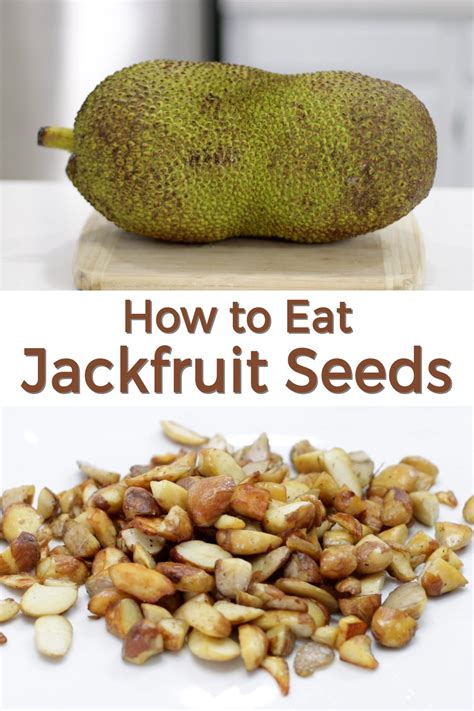 Jackfruit Seeds How to Eat Them - In The Kitchen With Matt