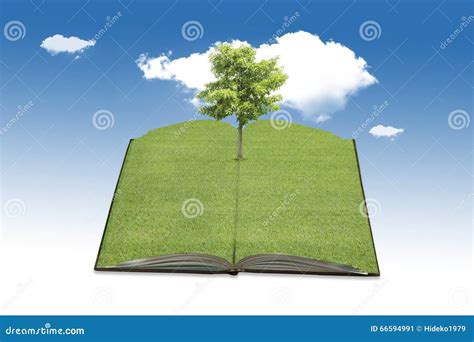Tree Growing From A Book Stock Image Image Of Album 66594991
