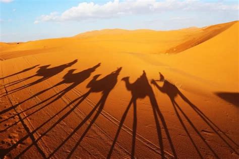 Why do deserts have more water than sand?The precipitation is 300 times