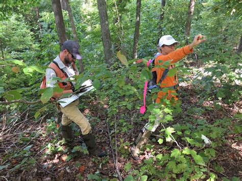 Forest Conservation In Tennessee Explore Oak Ridge