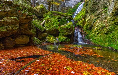Wallpaper Autumn Leaves Stones Waterfall Moss Green Red Orange