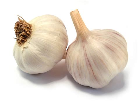 Garlic - The Most Amazing Herb On The Planet