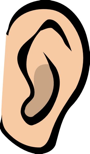 Ear Clip Art At Vector Clip Art Online Royalty Free