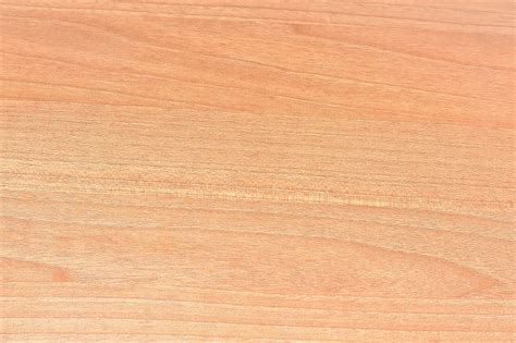 Free Photo Fresno Wood Smooth Clear Texture Background