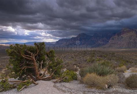 Nevada Desert Picture Image 8491143
