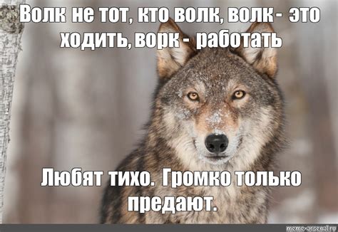 Meme Волк не тот кто волк волк это ходить ворк работать Любят