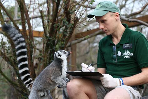 I got a call back a few days after turing in my application and had an interview scheduled. Find a Zoo Internship That's Right for You