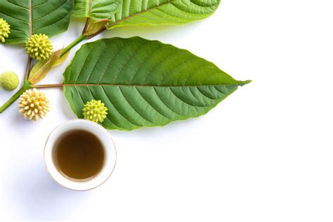 Best Kratom For Anxiety - Motivirus