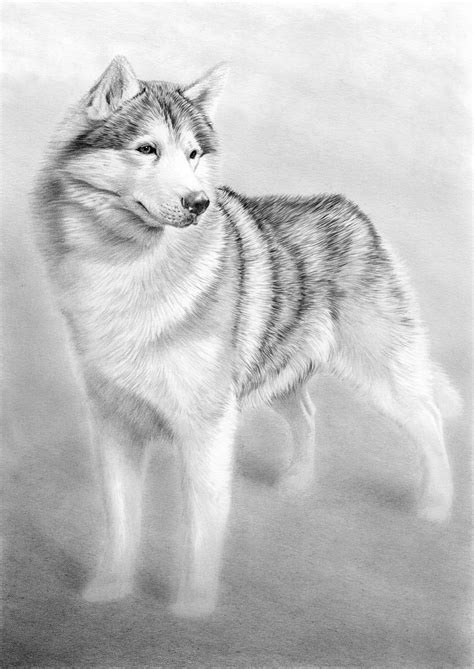I uploaded this one first because i just did it a couple weeks ago. Art Studio: Dogs: More than 50 projects and techniques for ...