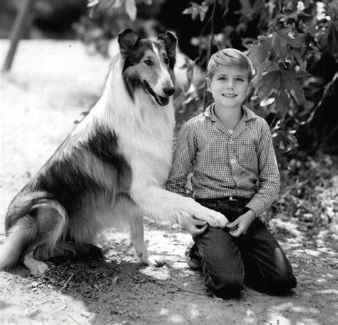 Lassie 1954 Starring Michael James Wixted Ron Howard Eugene