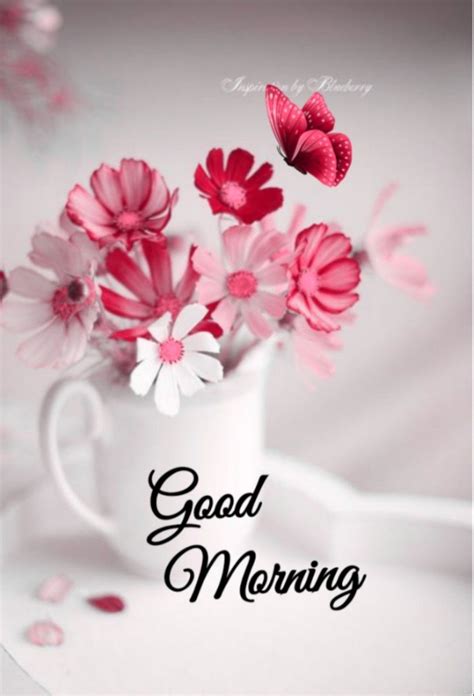 Pink Flowers In A White Cup With The Words Good Morning On Its Side