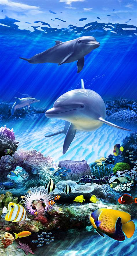 Dolphin Reef Static Cling Film For Glass Doors And Windows By Wallpaper