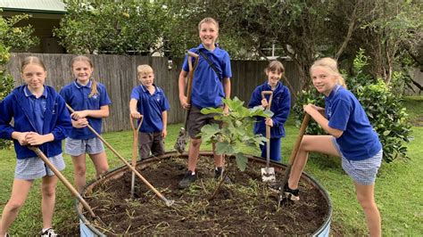 Moruya Public School Kitchen And Garden Program Is Connecting Students