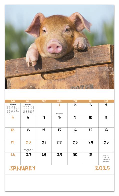 2025 Baby Farm Animals Calendar 11 X 19 Imprinted Staple Bound