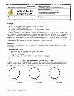 Check spelling or type a new query. Cells Alive Cell Cycle Worksheet Answer Key - worksheet