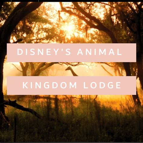 Disney Resort Profiles Animal Kingdom Lodge Showit Blog