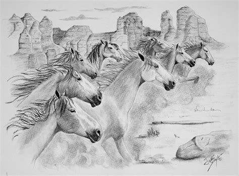 Wild Horse Sketch At Explore Collection Of Wild
