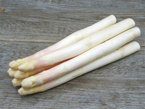 Asperge blanche Cal16