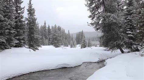 Peaceful Mountain Snow 15 Min Nature Relaxation Video W