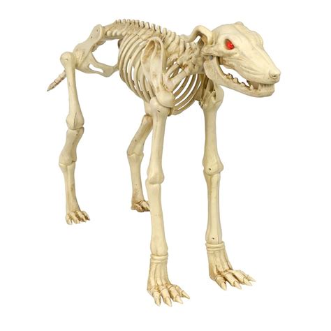 Home Accents Holiday 26 In Animated Skeleton Greyhound With Led