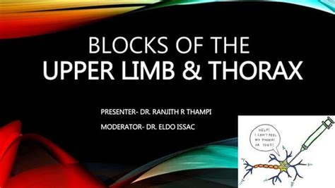 Upper Extremity Regional Anesthesia