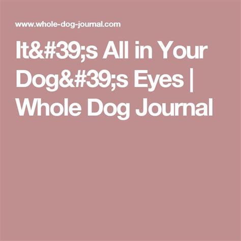 Its All In Your Dogs Eyes Whole Dog Journal Dog Eyes Eyes Dogs