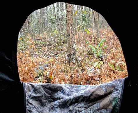 Deer Hunting From A Ground Blind Couldnt Be Easier Rangetoreel