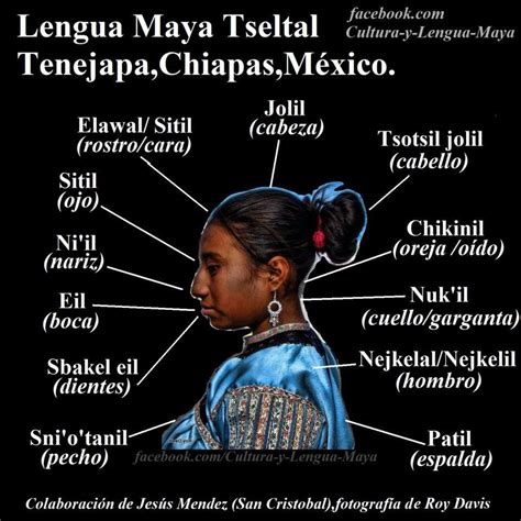 The Tseltal Or Tzeltal Is A Maya Anguage Spoken In The State Of Chiapas