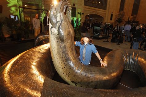 Titanoboa cerrejonesis is new to science and was discovered by a team of north american scientists led by jason head at the university of toronto. Titanoboa Full HD Wallpaper and Hintergrund | 3000x2000 ...