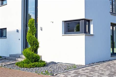 Gezogen und seid dem warte ich auf meine periode. Wann die Thuja schneiden? » Der beste Zeitpunkt (Lebensbaum)