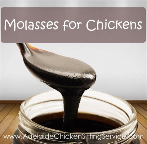 Can Diabetics Eat Molasses Effective Health