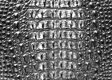 Print Crocodile Texture Leather Dark Gray Background Vector