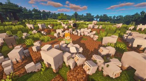 Sheep In Minecraft Spawn Food Breeding And More Firstsportz