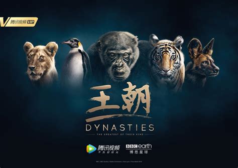 Stream all tencent pictures movies and tv shows for free with english and spanish subtitle. Headlines from China: BBC-Tencent Co-production 'Dynasties ...