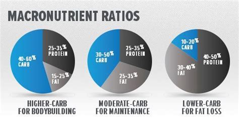 Muscle building is a complex process that requires close. Macro ratios for bodybuilding, maintaining muscle and ...
