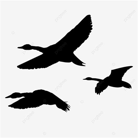 Gooses Flying Silhouette Png Transparent Black Silhouette Wild Goose