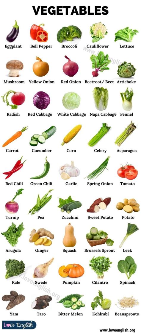 List Of Vegetables Useful Names Of Vegetables With The Picture Fruits