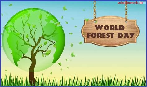 World Forestry Day 2020 International Day Of Forests 2020 Day