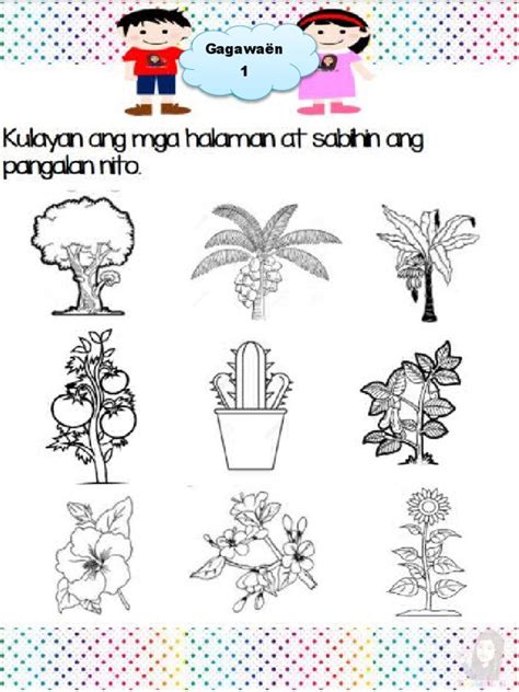 Activity Sheet Ibat Ibang Uri Ng Halaman Pdf