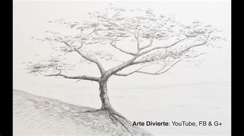 Cómo Dibujar Un árbol A Lápiz Youtube
