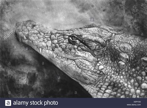 Cartoon Monster Mouth Black and White Stock Photos & Images - Alamy