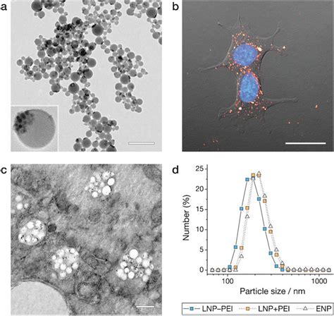 Polymer Nanospheres Were Prepared And Characterised And Were