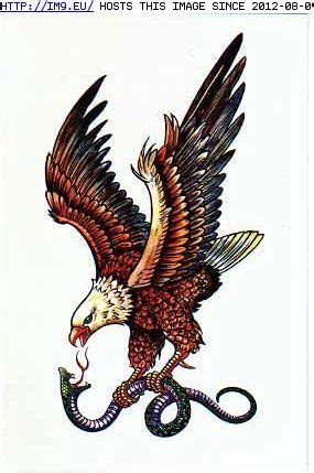 Once again we see a traditional style portraying an eagle fighting a snake. snake-and-eagle-tattoo-design.jpg (285×429) | Love Is ...