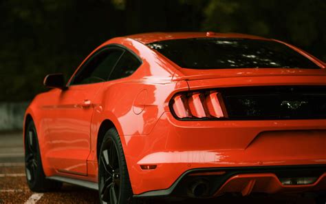 Ford Mustang 4K Ultra HD Wallpapers Wallpaper Cave